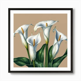 Calla Lily Art Print