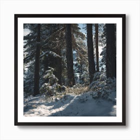 Snowy Forest 2 Art Print