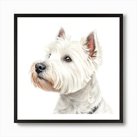 West Highland White Terrier Dog Portrait Poster