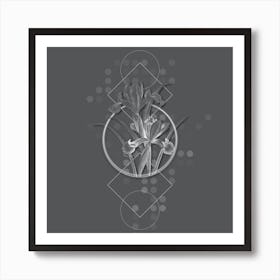 Vintage Spanish Iris Botanical with Line Motif and Dot Pattern in Ghost Gray n.0286 Art Print