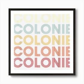 Colonie New York Colonie Ny Retro Vintage Text Poster