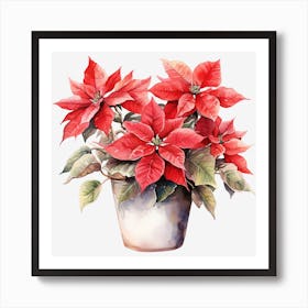 Poinsettia 36 Art Print