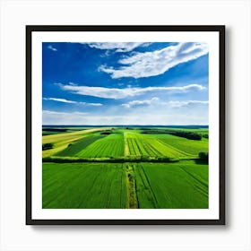 Grass Peace Air Structure Pasture Soy Bean High Country Rural Green Farm Overhead Natur (3) Art Print