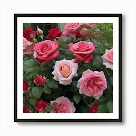 Roses Art Print