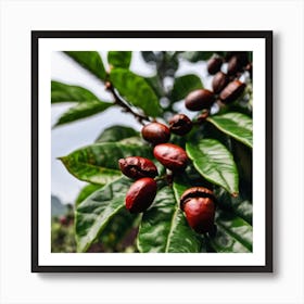 Coffee Beans On A Tree 34 Art Print