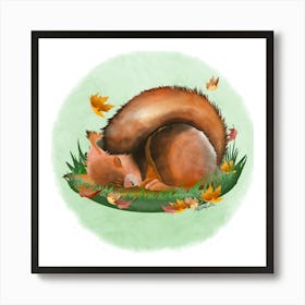 Squirrel/écureuil Art Print