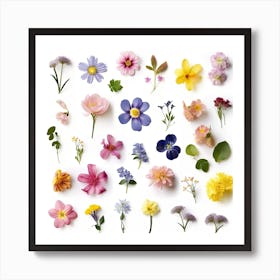 Dried Wild Flowers 10 Art Print