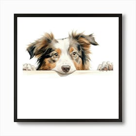 Australian Shepherd Art Print