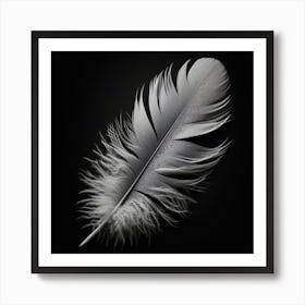 Feather 1 Art Print