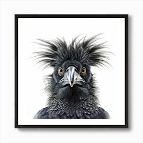 Black Crow Art Print