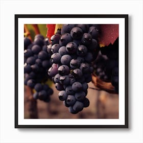 Black Grapes On The Vine 1 Art Print