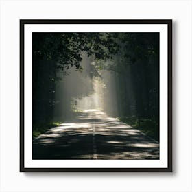 Road In The Woods Art Print