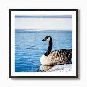 Canadian Geese 3 Art Print