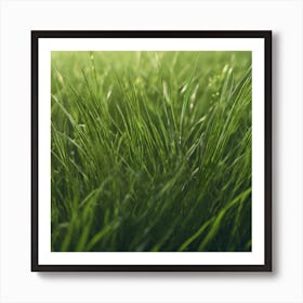 Green Grass Background 31 Art Print