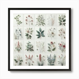 Flowers On A Wall Art Print