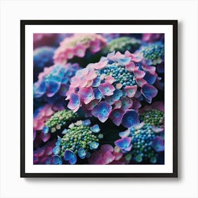 Hydrangeas Art Print