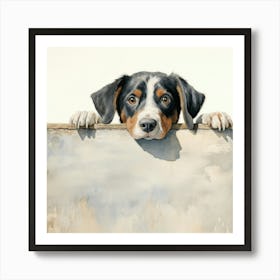 Bernese Mountain Dog 9 Art Print