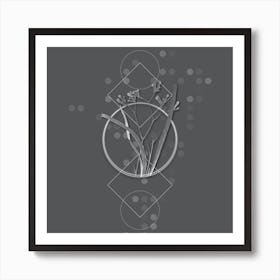 Vintage Anigozanthos Flavida Botanical with Line Motif and Dot Pattern in Ghost Gray n.0018 Art Print