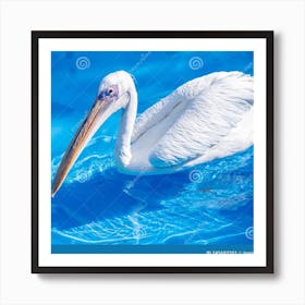 Pelican beach Art Print