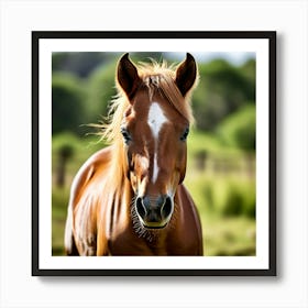 Grass Horse Mammal Animal Head Steady Offspring Beauty Riding Horse Mare Dam Cute Streng (2) Art Print