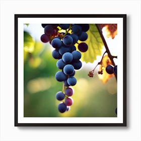 Grapes On The Vine 43 Art Print