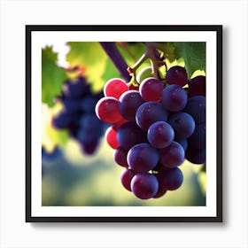 Grapes On The Vine 12 Art Print