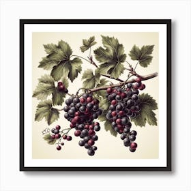 Dark Red Grapes Art Print