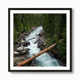 Rocky Mountain Stream Art Print