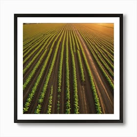 Aerial View Of A Farm Field At Sunset Art Print