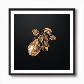 Gold Botanical Pear Branch on Wrought Iron Black n.0008 Art Print