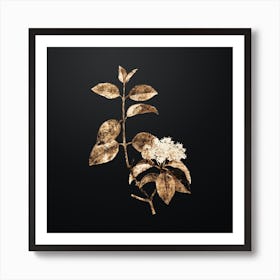 Gold Botanical Black Haw on Wrought Iron Black n.0719 Art Print