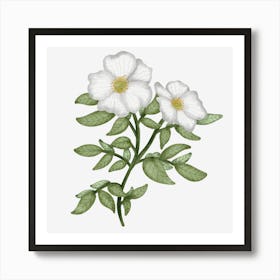 State flower of Georgia Art Print