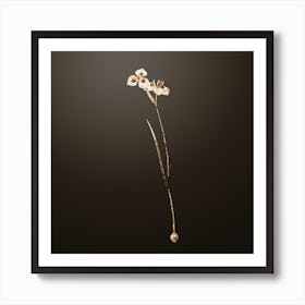 Gold Botanical Vieusseuxia Glaucopis on Chocolate Brown Art Print