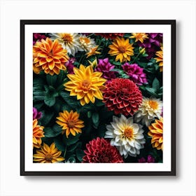 Dahlias Affiche