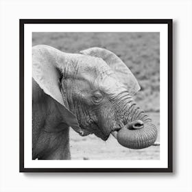 Dreaming Elephant Art Print