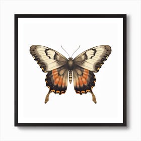 Butterfly 11 Art Print