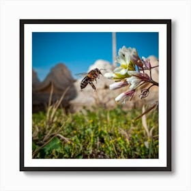 Bee On Flower Art Print