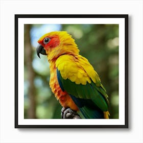 Colorful Parrot Art Print