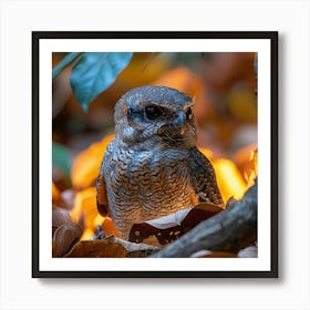 Owl In Autumn Leaves Art Print