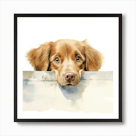 Golden Retriever 12 Art Print