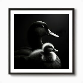 Mother Duck And Baby Duck 1 Poster