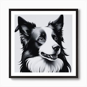 Border Collie Black and White Art Print