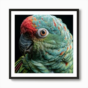 Parrot 23 Art Print