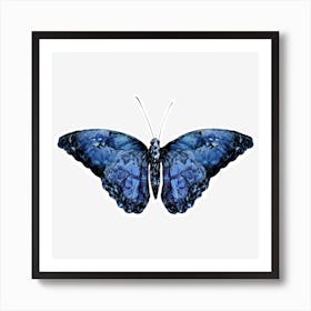 Botanicalbutterflyblue Art Print