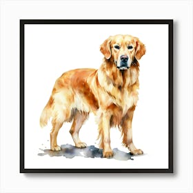 Golden Retriever 1 Art Print