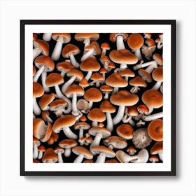 Mushroom On Black Background Photo Art Print