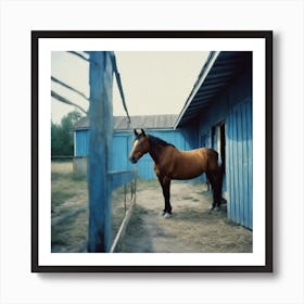 Horse At the blue Barn Art Print