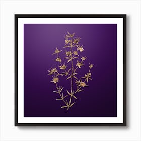 Gold Botanical Heath Mirbelia Branch on Royal Purple Art Print