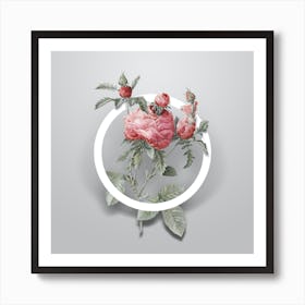 Vintage Cabbage Rose Minimalist Botanical Geometric Circle on Soft Gray n.0405 Art Print