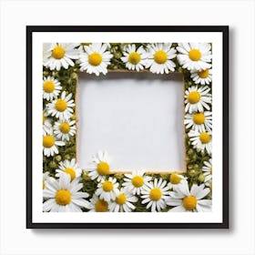 Frame Of Daisies 1 Art Print